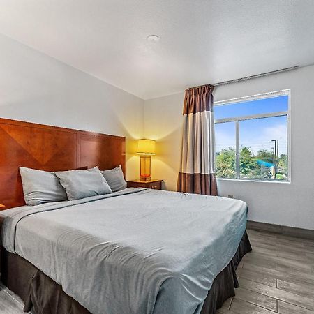Chandler 1 Bd 1 Ba Fully Renovated Premium Lux Apartment Pets Allowed Eksteriør bilde