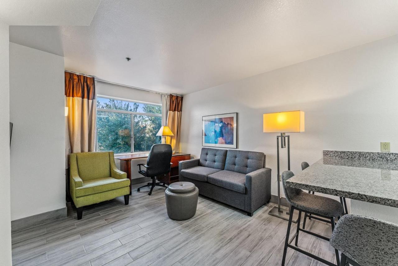 Chandler 1 Bd 1 Ba Fully Renovated Premium Lux Apartment Pets Allowed Eksteriør bilde